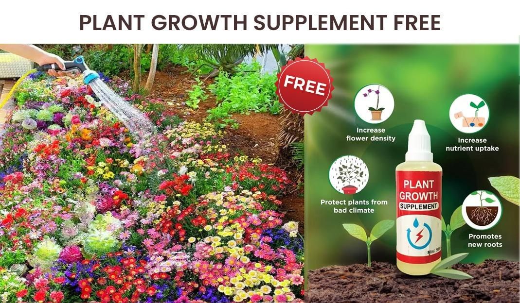 Mixed Varieties of Flower Seeds | Flat 50% OFF