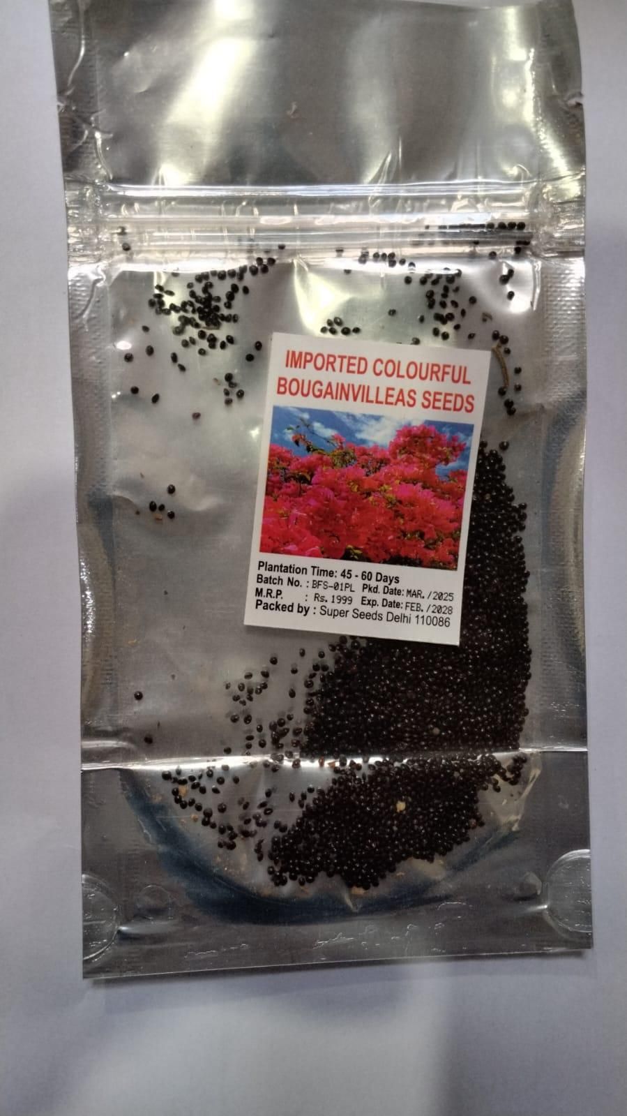 Mix Colour Bougainvillea Flower Seeds | Flat 50% OFF