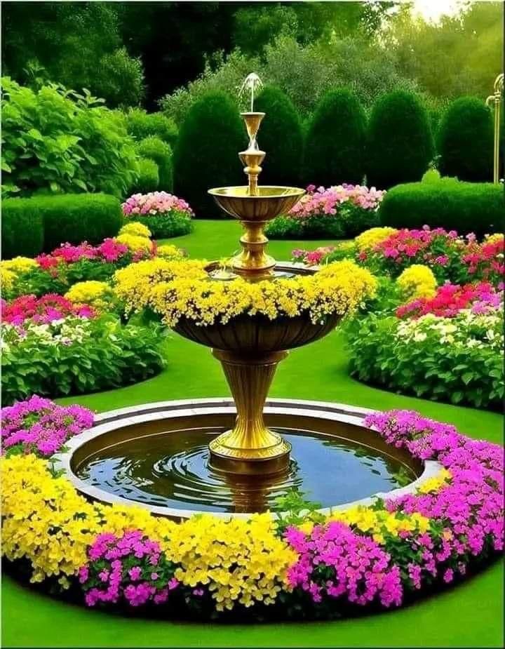 Mixed Varieties of Flower Seeds | Flat 50% OFF