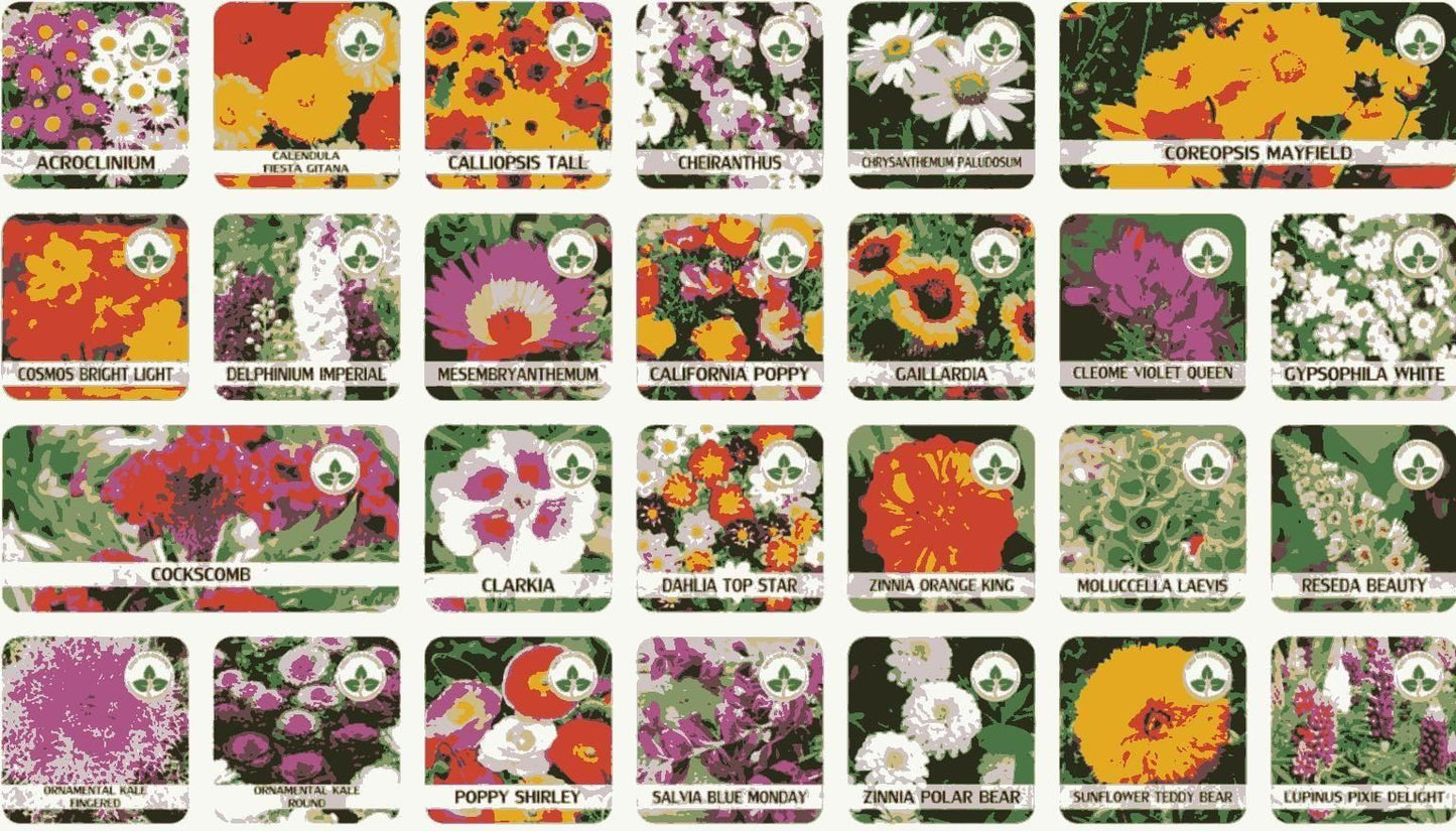 Mixed Varieties of Flower Seeds | Flat 50% OFF