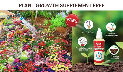 Mixed Varieties of Flower Seeds | Flat 50% OFF