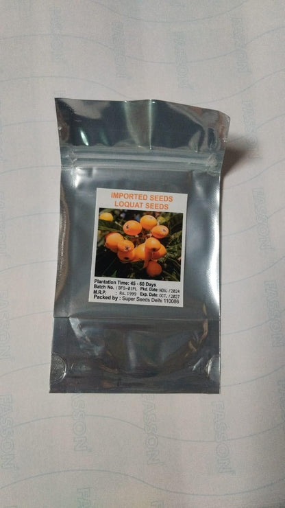 Five-star Loquat Seeds | Flat 50% Saving