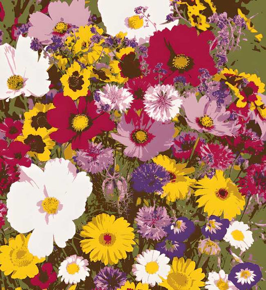 Mixed Varieties of Flower Seeds | Flat 50% OFF
